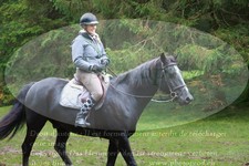 ref. photo 3357116