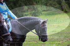 ref. photo 3357126