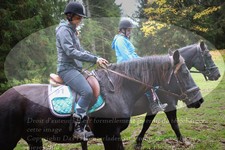 ref. photo 3357128