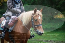 ref. photo 3357153