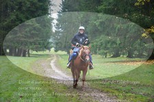 ref. photo 3357154