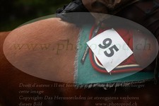 ref. photo 3357156