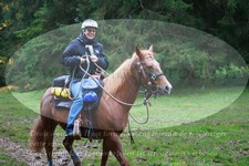 ref. photo 3357159