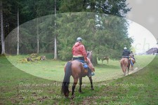 ref. photo 3357166