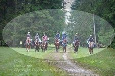 ref. photo 3357191