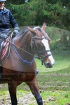 ref. photo 3357258