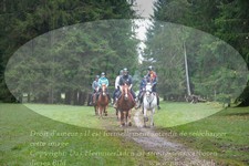 ref. photo 3357296