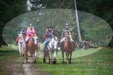 ref. photo 3357318