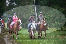 ref. photo 3357319