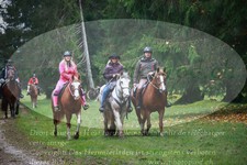 ref. photo 3357321
