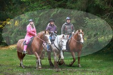 ref. photo 3357329