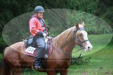ref. photo 3357345
