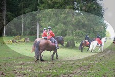 ref. photo 3357350