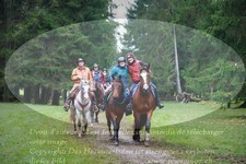 ref. photo 3357430
