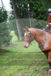 ref. photo 3357513