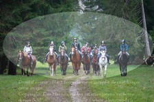 ref. photo 3357527