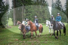 ref. photo 3357553