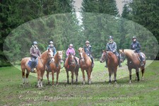 ref. photo 3357611