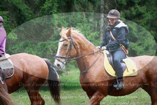 ref. photo 3357619