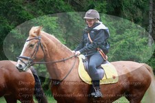 ref. photo 3357620