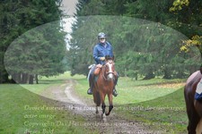ref. photo 3357641