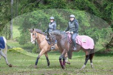 ref. photo 3357680