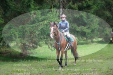 ref. photo 3357810