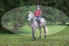 ref. photo 3357821
