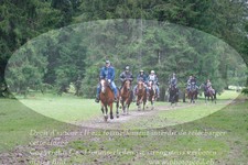 ref. photo 3357835