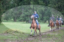 ref. photo 3357838