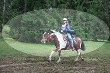 ref. photo 3357847