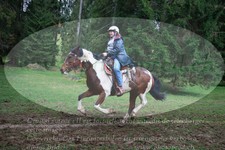 ref. photo 3357848