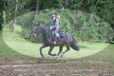 ref. photo 3357850