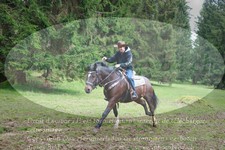 ref. photo 3357852