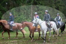 ref. photo 3357906