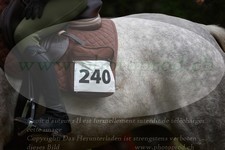 ref. photo 3357909