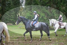 ref. photo 3357911