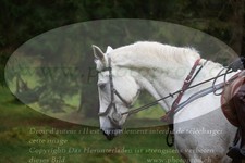 ref. photo 3357915