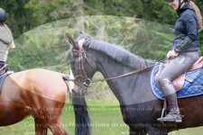 ref. photo 3357926