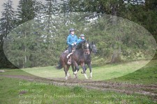 ref. photo 3357936