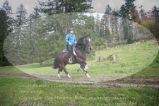 ref. photo 3357937