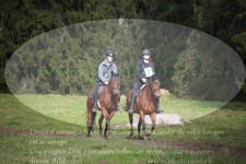 ref. photo 3357950