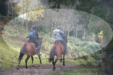 ref. photo 3357959
