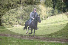 ref. photo 3357962