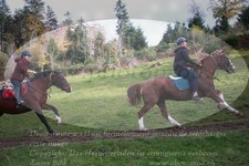 ref. photo 3357984