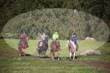 ref. photo 3357998