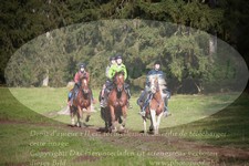 ref. photo 3357999