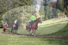 ref. photo 3358004