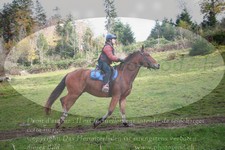ref. photo 3358011
