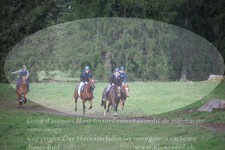 ref. photo 3358014